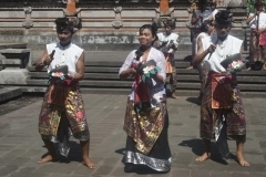 thumbs_IMG_0037_800x533