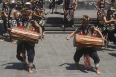 thumbs_IMG_0220_800x533