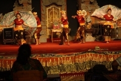 thumbs_IMG_9746_800x533