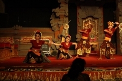 thumbs_IMG_9748_800x533