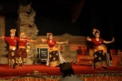 thumbs_IMG_9749_800x533