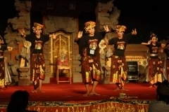 thumbs_IMG_9753_800x533