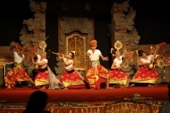 thumbs_IMG_9781_800x533