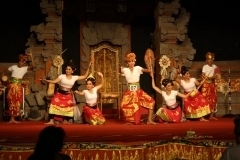 thumbs_IMG_9782_800x533