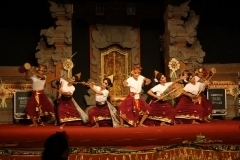 thumbs_IMG_9795_800x533