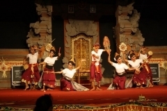 thumbs_IMG_9796_800x533