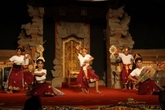 thumbs_IMG_9798_800x533