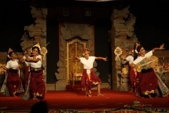 thumbs_IMG_9800_800x533