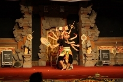 thumbs_IMG_9801_800x533