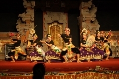 thumbs_IMG_9803_800x533